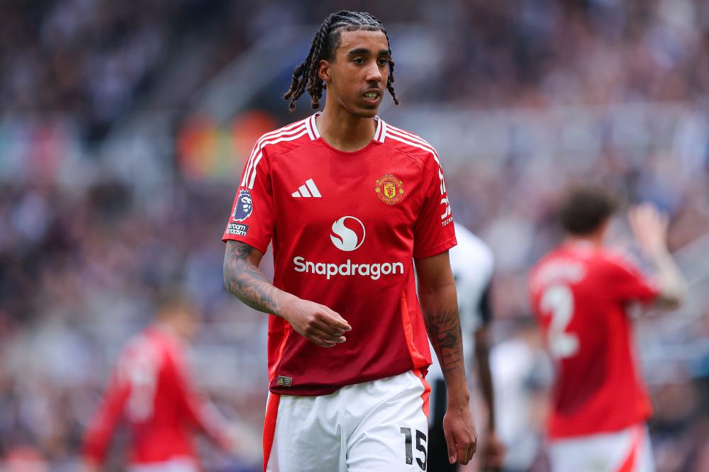 羅斯成為芝 羅斯成為芝